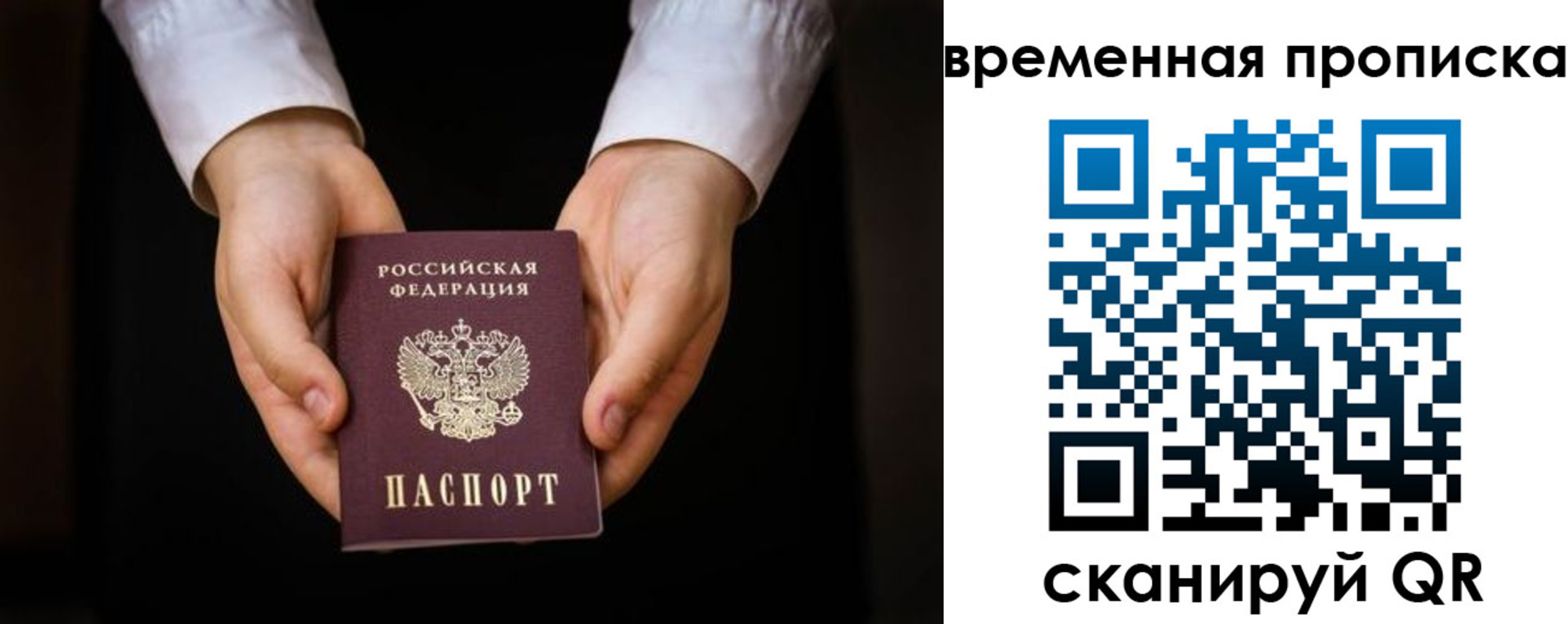 где прописаться в Павловске